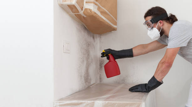 Professional Attic Mold Removal technician working in Levering, MI