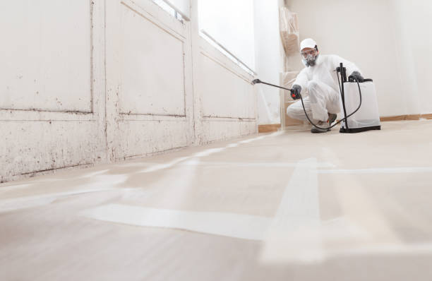 24/7 Emergency Attic Mold Removal experts in Levering, MI