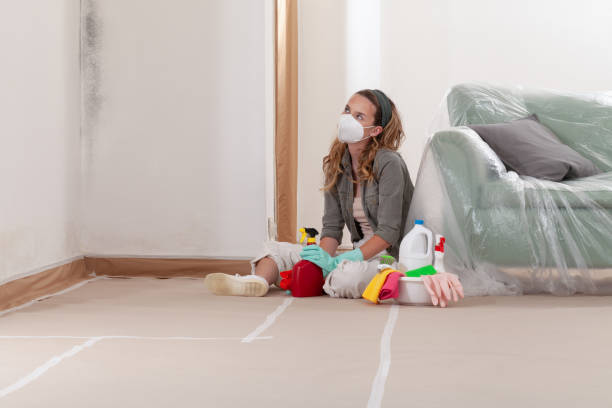 Trusted Attic Mold Removal service in Levering, MI - WQB Mold Removal